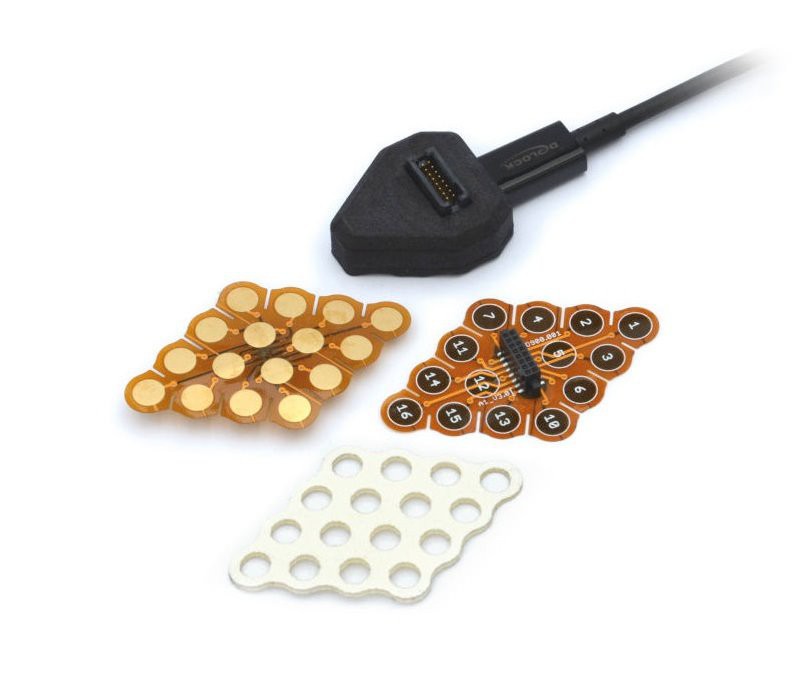 g.Pangolin-high-density-eeg-electrodes-2