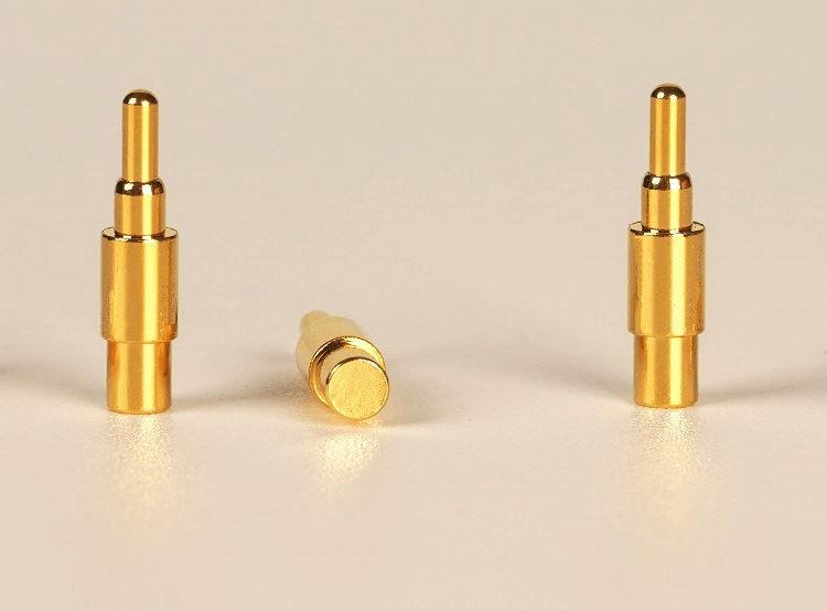 Употреба и очување Пого пина